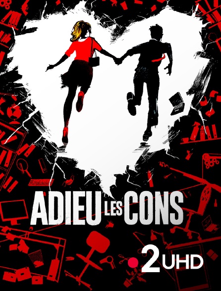 France 2 UHD - Adieu les cons