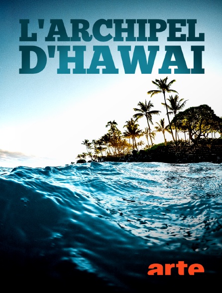 Arte - L'archipel d'Hawaï
