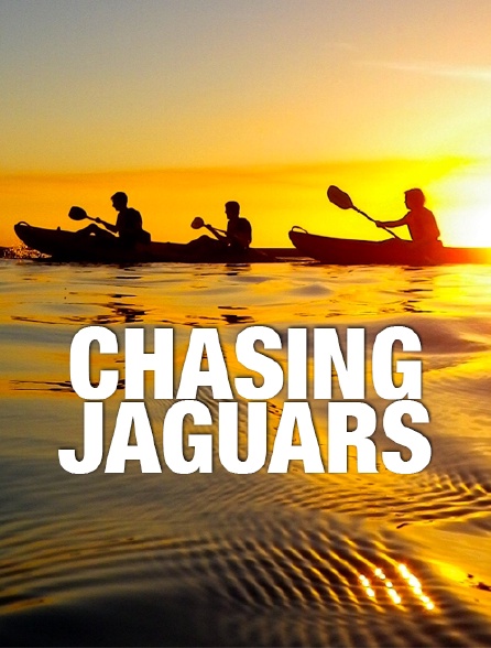 Chasing Jaguars