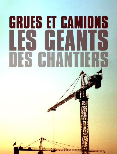 Grues et camions : les géants des chantiers