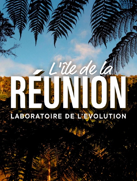 L'île de La Réunion : Laboratoire de l'évolution