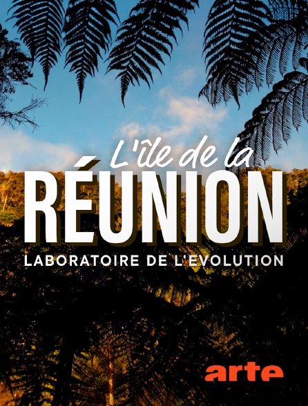 Arte - L'île de La Réunion : Laboratoire de l'évolution