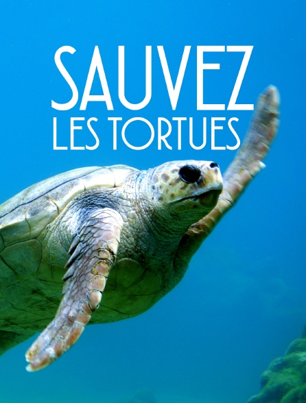 Sauvez les tortues !