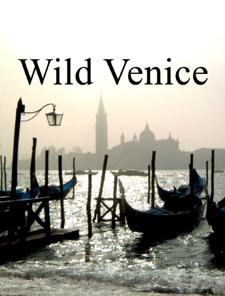 Wild Venice