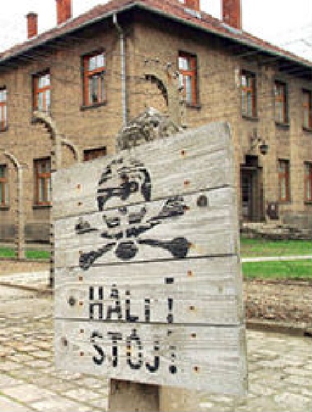 Auschwitz : voyage au bout de l'enfer
