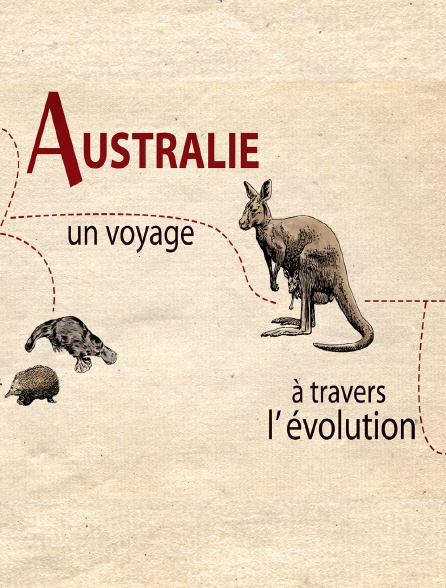 Australie, un voyage à travers l'évolution