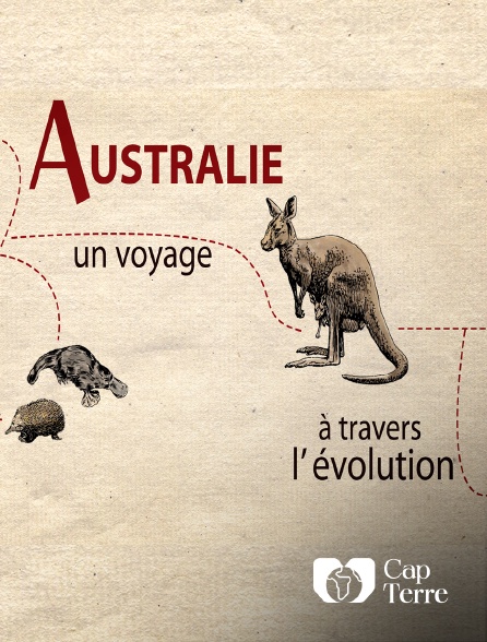 Cap Terre - Australie, un voyage à travers l'évolution