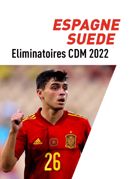 Football : Eliminatoires de la Coupe du monde UEFA - Espagne / Suède