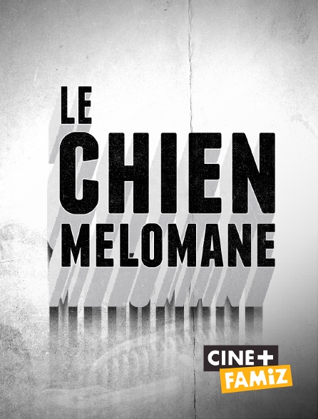 Ciné+ Famiz - Le chien mélomane
