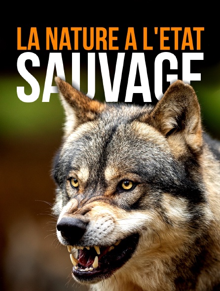 La nature à l'état sauvage