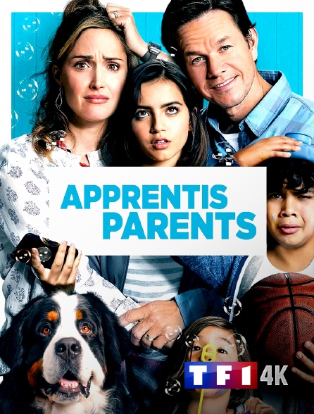 TF1 4K - Apprentis parents