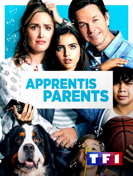 TF1 - Apprentis parents