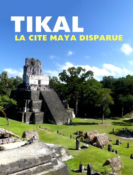 Tikal, la cité Maya disparue