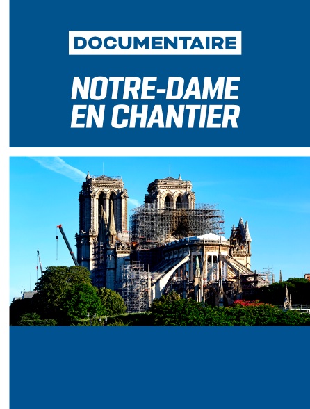 Notre-Dame en chantier