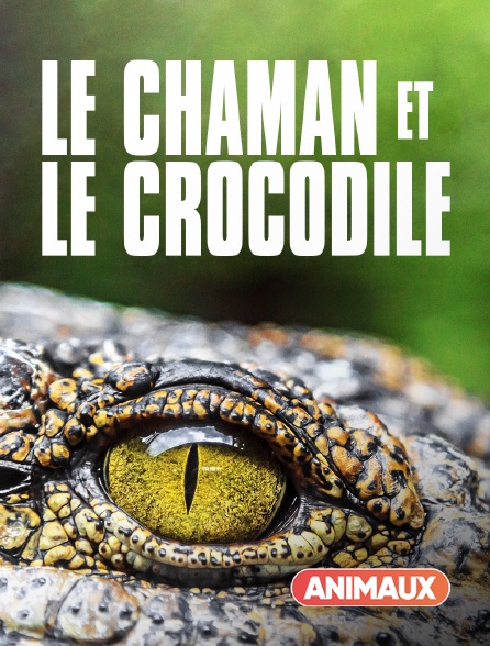 Animaux - Le chaman et le crocodile