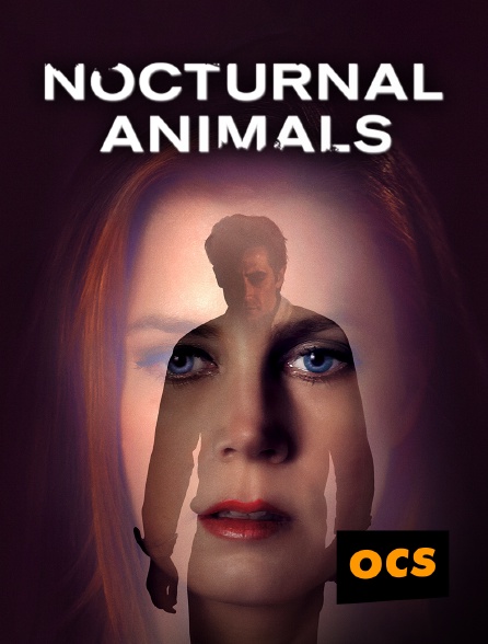 OCS - Nocturnal Animals