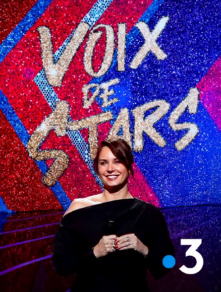 France 3 - Voix de stars