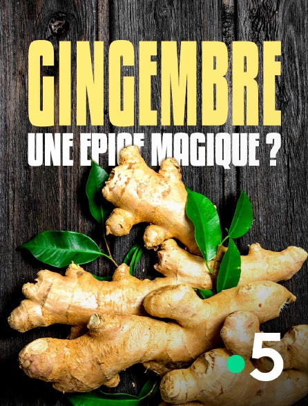 France 5 - Gingembre, une épice magique ?