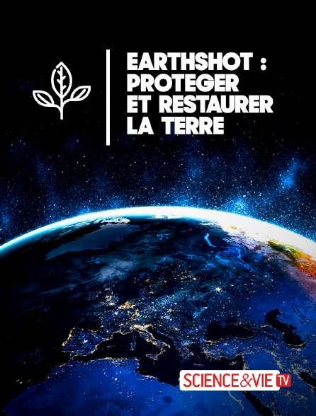 Science et Vie TV - Earthshot : protéger et restaurer la terre