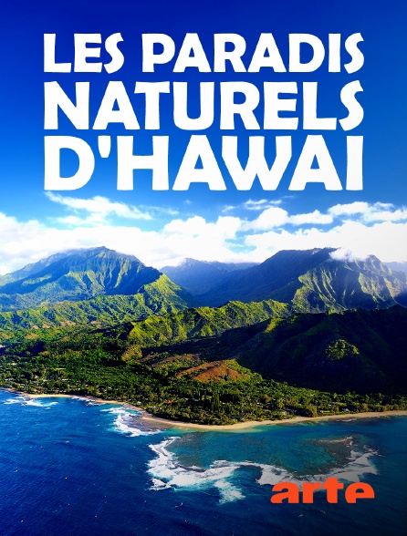 Arte - Les paradis naturels d'Hawaï