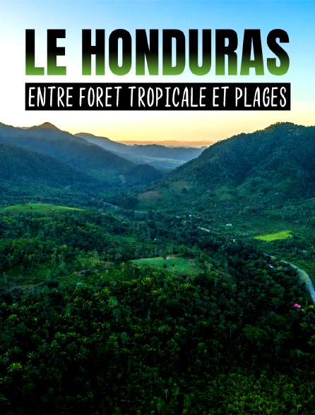 Le Honduras : entre forêt tropicale et plages