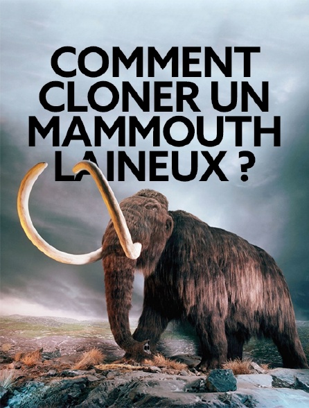 Comment cloner un mammouth laineux ?