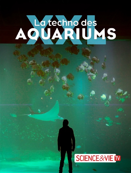 Science et Vie TV - La techno des aquariums XXL