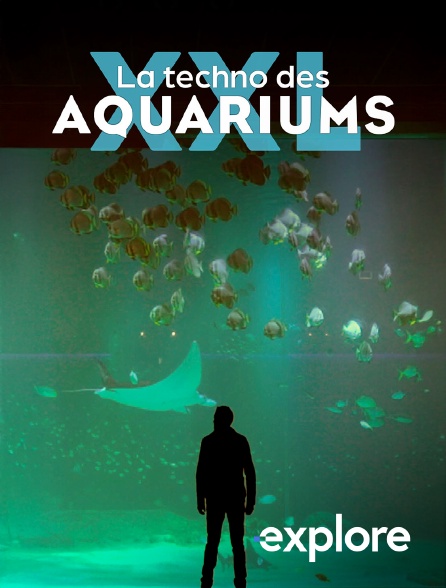 EXPLORE - La techno des aquariums XXL
