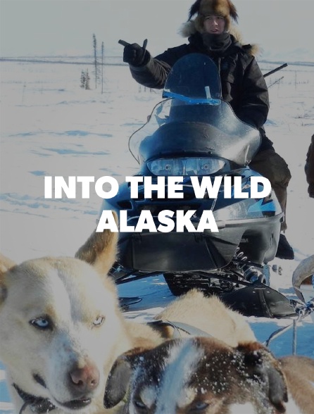 INTO THE WILD: ALASKA