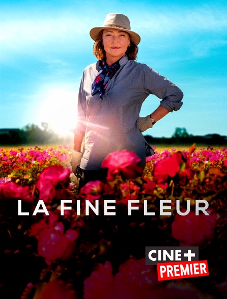 Ciné+ Premier - La fine fleur