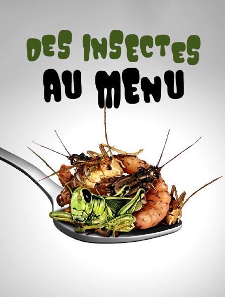 Des insectes au menu