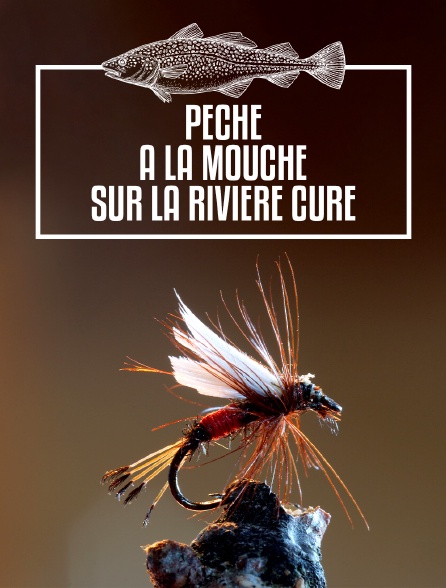 Pêche à la mouche sur la rivière Cure