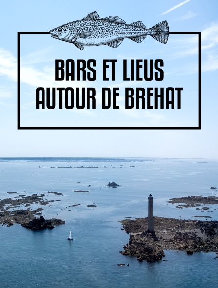 Bars et lieus autour de Bréhat