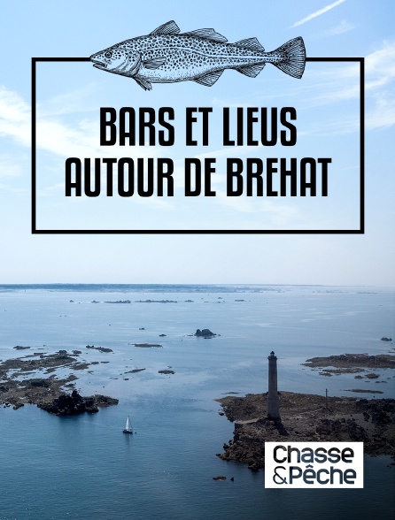 Chasse et pêche - Bars et lieus autour de Bréhat
