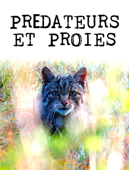 Prédateurs et proies