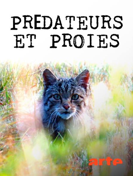 Arte - Prédateurs et proies