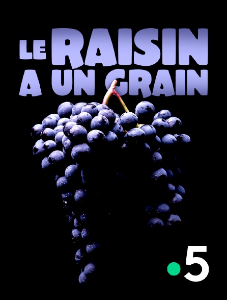 France 5 - Le raisin a un grain