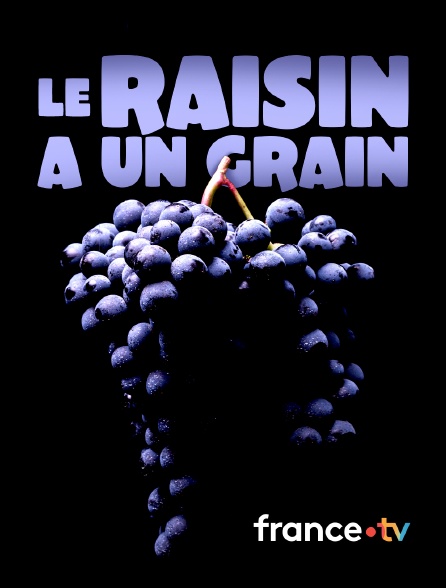 france.tv - Le raisin a un grain