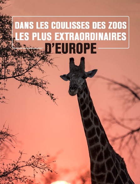 Dans les coulisses des zoos les plus extraordinaires d'Europe