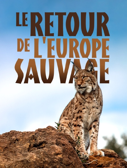 Le retour de l'Europe sauvage