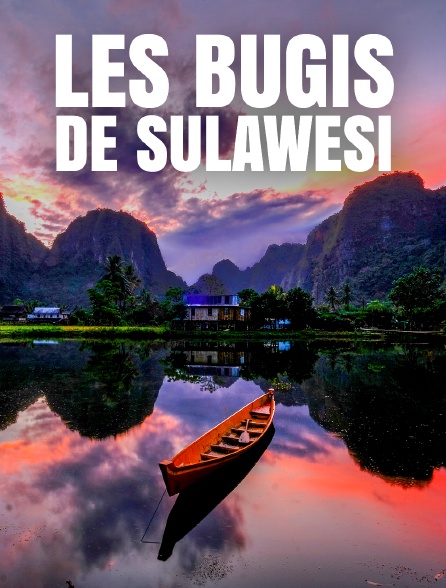 Les Bugis de Sulawesi : Cinq façons d'être au monde en streaming ...
