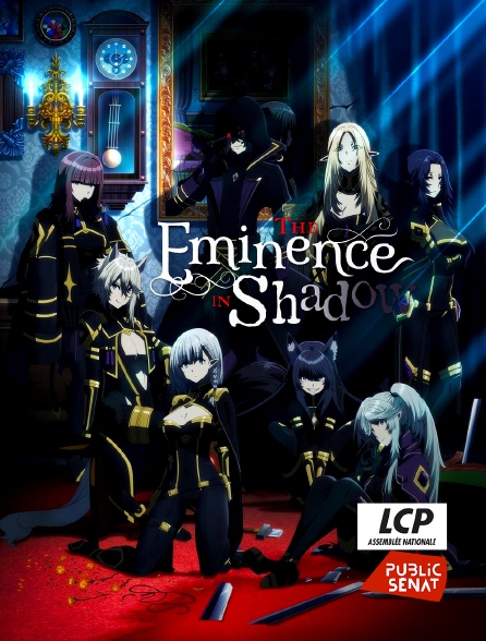 LCP Public Sénat - The Eminence in Shadow