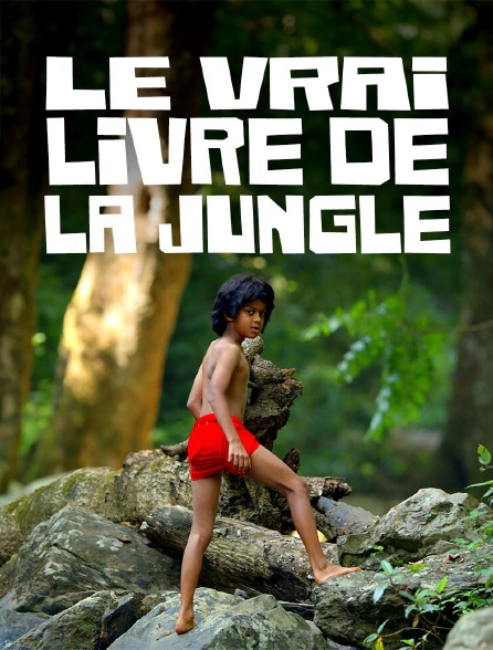 Le vrai livre de la jungle
