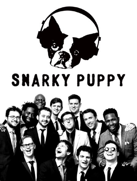 Snarky Puppy