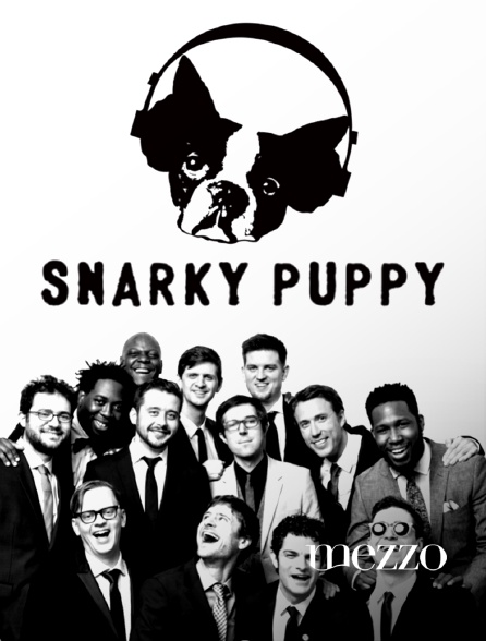 Mezzo - Snarky Puppy
