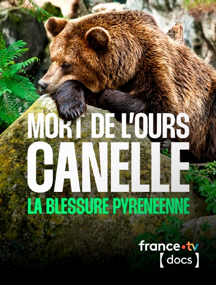 France TV Docs - Mort de l'ourse Cannelle, la blessure pyrénéenne