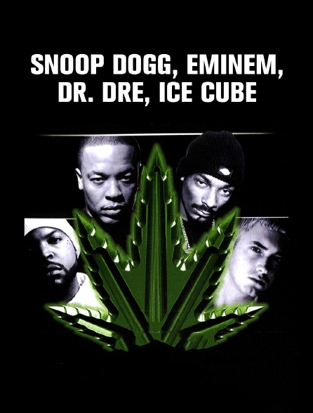 Snoop Dogg, Eminem, Dr. Dre, Ice Cube