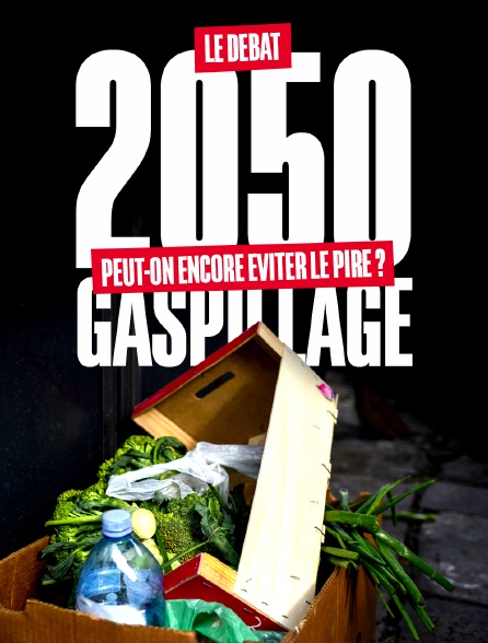 2050 : Gaspillage, peut-on encore éviter le pire ? Le débat