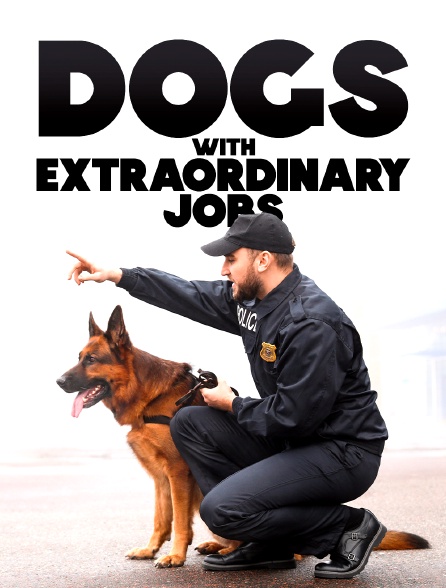 Dogs with Extraordinary Jobs