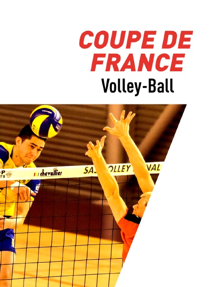 Volley-ball - Coupe de France